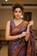 Woman in a traditional saree with intricate patterns indoors