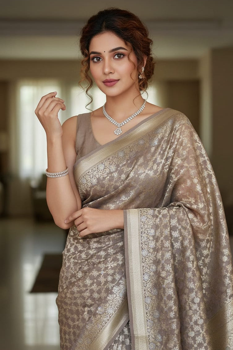 Woman in a saree with a blurred indoor background