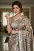 Woman in a saree with a blurred indoor background